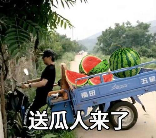 娱乐吃瓜集中地,这里是吃瓜群众的集中地!