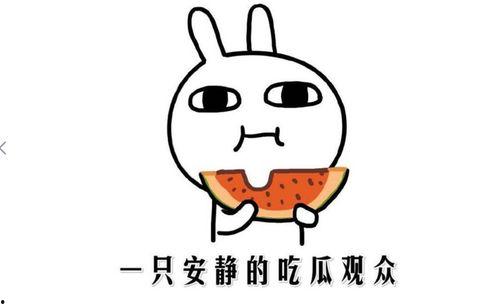 娱乐吃瓜的配音是什么意思,揭秘“娱乐吃瓜”配音背后的趣味与魅力